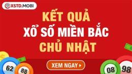 giao diện app kết quả xổ số chủ nhật hàng tuần minh ngọc