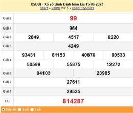 hướng dẫn sử dụng dự đoán xổ số bình định 888