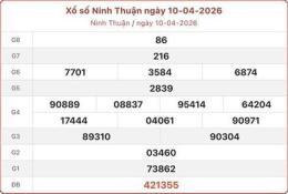 hướng dẫn sử dụng dự đoán xổ số ninh thuận đài cát