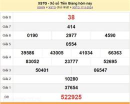 hướng dẫn sử dụng dự đoán xổ số tiền giang ngày mai