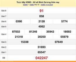 hướng dẫn sử dụng kết quả xổ số bình dương ngày 14 tháng 11