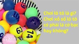 hướng dẫn sử dụng kết quả xổ số lô tô hôm nay