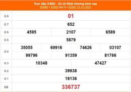 hướng dẫn sử dụng kết quả xổ số ngày 22 tháng 8