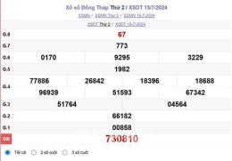 hướng dẫn sử dụng kết quả xổ số tỉnh đồng tháp