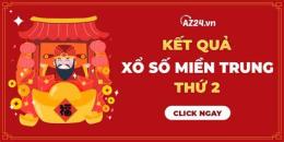 hướng dẫn sử dụng số xổ miền trung chủ nhật hàng tuần