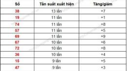 hướng dẫn sử dụng số xo quang ngai