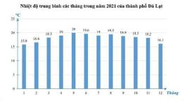 hướng dẫn sử dụng tần suất xổ số đà lạt
