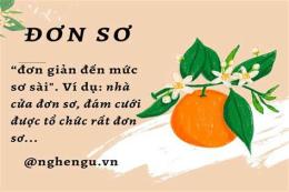 hướng dẫn sử dụng xác xơ hay xác sơ