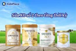 hướng dẫn sử dụng xo so 2/2/2026