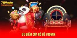 tính năng nổi bật sồ sô xô miên trung